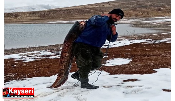 2 metre uzunluğunda balık yakaladı