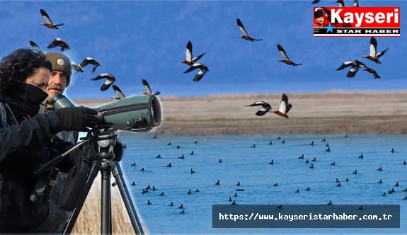 Göller yöresinde 43 türden 739 bin 142 su kuşu sayıldı