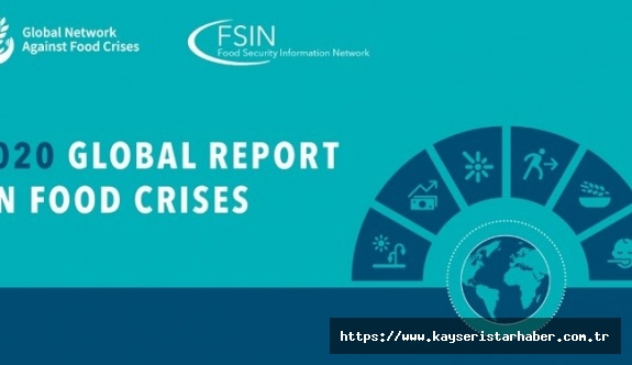 Küresel Gıda Krizleri Raporu