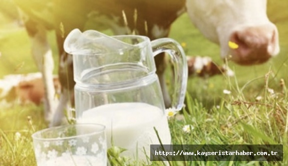 Şubat ayında 792 bin 223 ton inek sütü toplandı