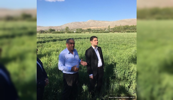 MHP Milletvekili İsmail Özdemir'den 'Sarız Buğdayı' hamlesi