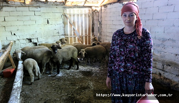 İki üniversite bitirip 4 dil konuşan Rus kadın hayvancılık yapıyor