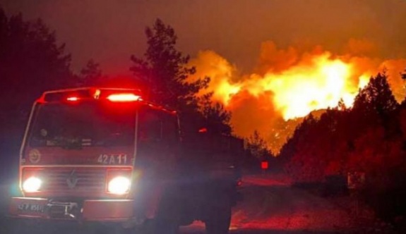 Orman yangınları: AB Türkiye’ye destek için uçak gönderiyor