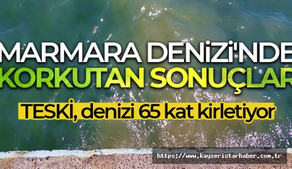 Marmara Denizi'nde Korkutan Sonuçlar: TESKİ, Denizi 65 Kat Kirletiyor