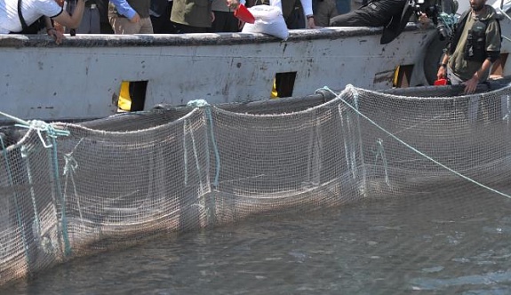 Denizi Olmayan Kayseri'de 10 Milyon Dolarlık Balık İhracatı