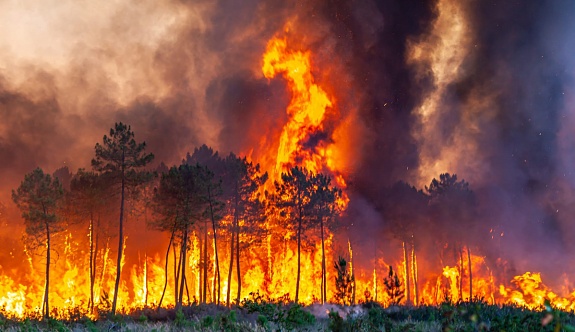 Fransa'daki Orman Yangınları 6'ıncı Gününde