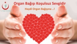 eKonsey Doktorları Organ Bağışının Önemine   Dikkat Çekti: Organ Bağışı Hayat Kurtarır