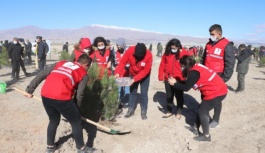 "Milli Ağaçlandırma Günü"nde Fidanlar Toprakla Buluşturuldu