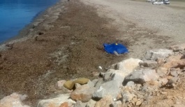 Balıkesir'de Cinayet: Oğlunu Satırla Keserek Öldürdü
