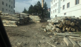 Çocuk Bayramı'nda Üzerine Ağaç Düşen Çocuk Hayatını Kaybetti