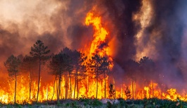 Fransa'daki Orman Yangınları 6'ıncı Gününde