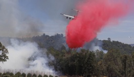 California Yılın En Büyük Yangınıyla Mücadele Ediyor