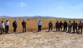 Başkan Dr. Palancıoğlu: “Bölge tarımına destek; Aspir tohumları hasat edilmeye başlandı”