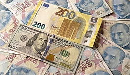 Dolar ve Euro Kuru Rekor Üstüne Rekor Kırıyor